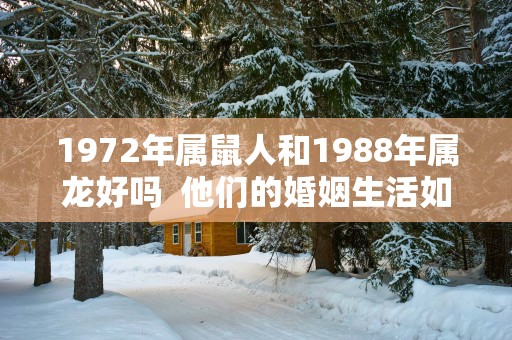 1972年属鼠人和1988年属龙好吗  他们的婚姻生活如何