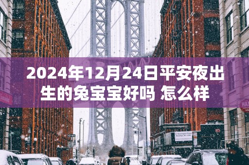 2025年12月24日平安夜出生的兔宝宝好吗 怎么样