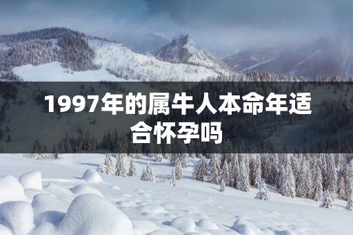 1997年的属牛人本命年适合怀孕吗