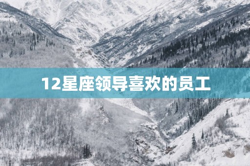 12星座领导喜欢的员工