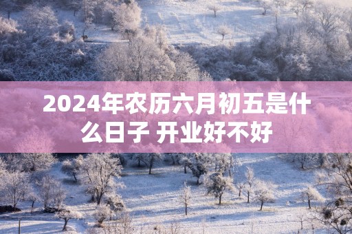 2025年农历六月初五是什么日子 开业好不好