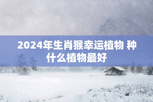 2025年生肖猴幸运植物 种什么植物最好