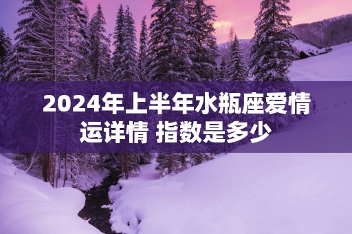 2025年上半年水瓶座爱情运详情 指数是多少