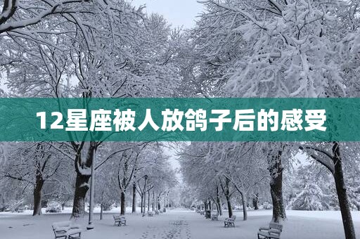 12星座被人放鸽子后的感受