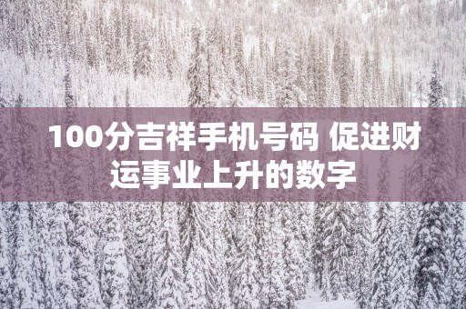 100分吉祥手机号码 促进财运事业上升的数字