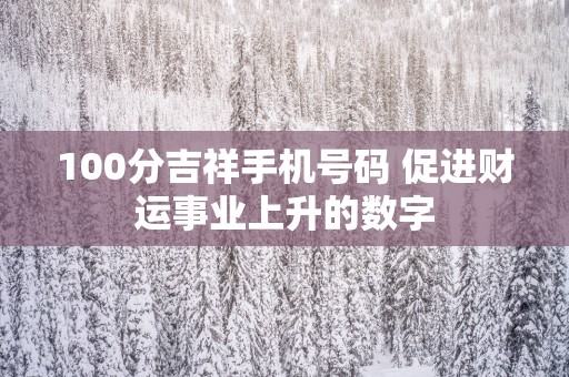 100分吉祥手机号码 促进财运事业上升的数字