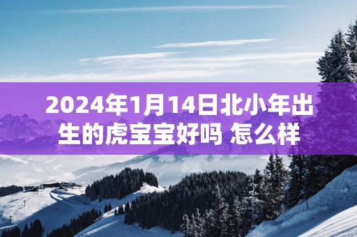 2025年1月14日北小年出生的虎宝宝好吗 怎么样