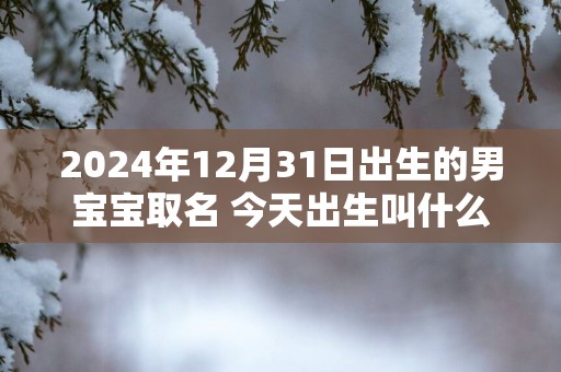 2025年12月31日出生的男宝宝取名 今天出生叫什么名字好
