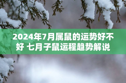 2025年7月属鼠的运势好不好 七月子鼠运程趋势解说