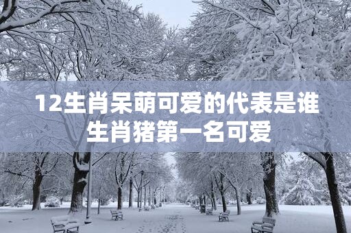 12生肖呆萌可爱的代表是谁 生肖猪第一名可爱