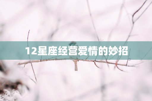 12星座经营爱情的妙招