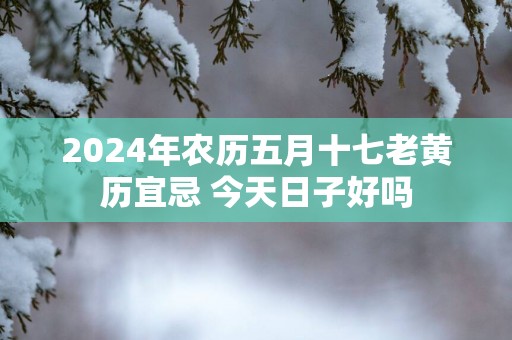 2025年农历五月十七老黄历宜忌 今天日子好吗