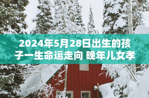 2025年5月28日出生的孩子一生命运走向 晚年儿女孝顺无忧无虑