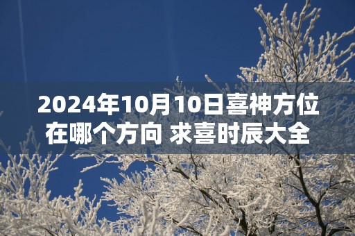 2025年10月10日喜神方位在哪个方向 求喜时辰大全