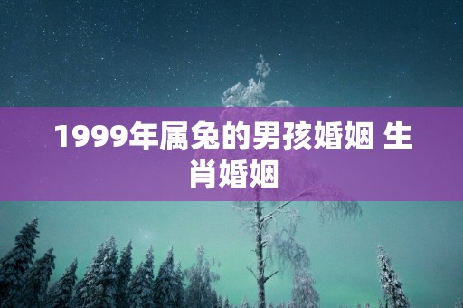 1999年属兔的男孩婚姻 生肖婚姻