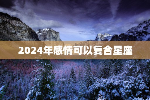 2025年感情可以复合星座