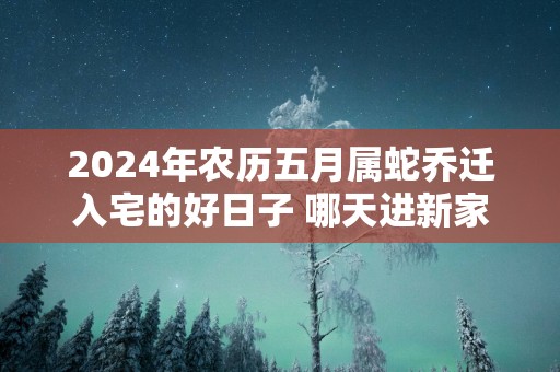 2025年农历五月属蛇乔迁入宅的好日子 哪天进新家好