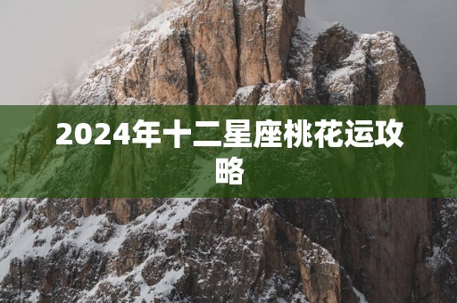2025年十二星座桃花运攻略
