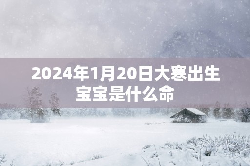2025年1月20日大寒出生宝宝是什么命