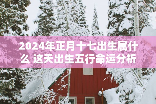2025年正月十七出生属什么 这天出生五行命运分析