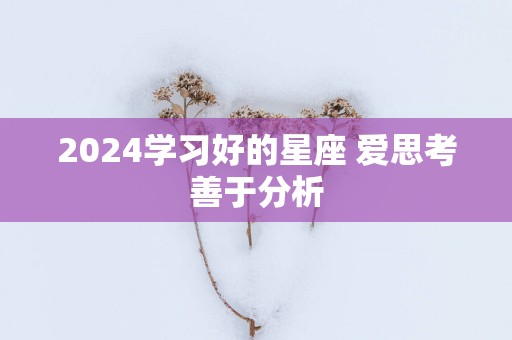 2025学习好的星座 爱思考善于分析