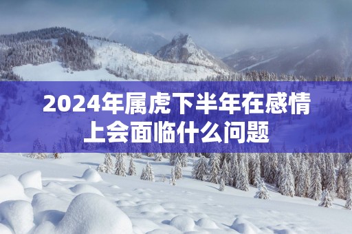 2025年属虎下半年在感情上会面临什么问题