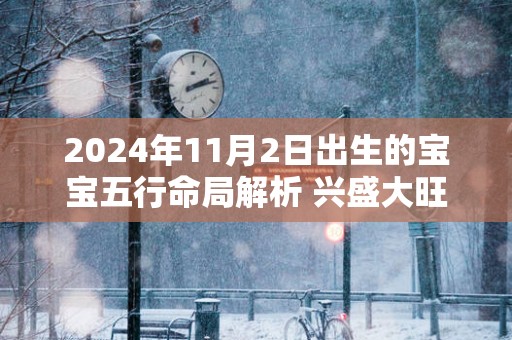 2024年11月2日出生的宝宝五行命局解析 兴盛大旺命格