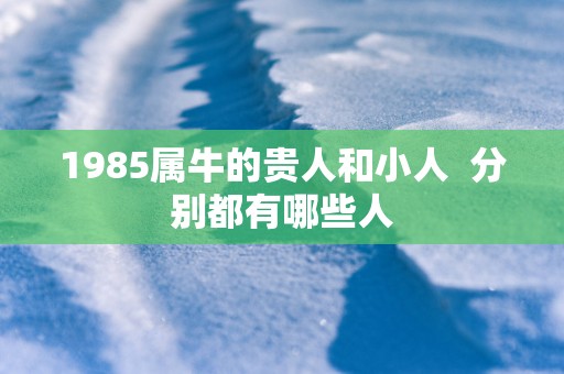 1985属牛的贵人和小人  分别都有哪些人