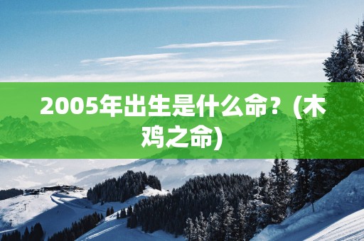 2005年出生是什么命？(木鸡之命)