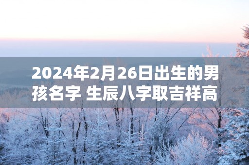 2025年2月26日出生的男孩名字 生辰八字取吉祥高分好名