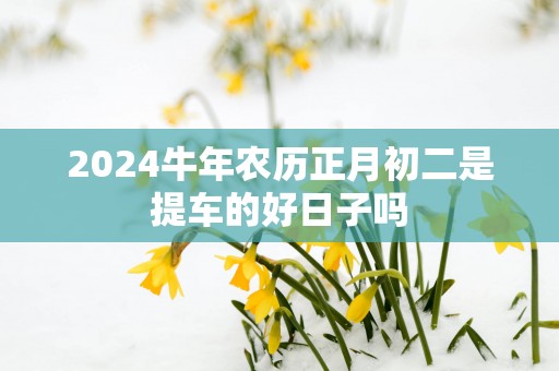 2025蛇年农历正月初二是提车的好日子吗