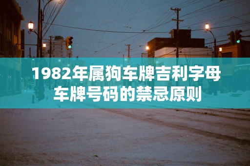 1982年属狗车牌吉利字母 车牌号码的禁忌原则