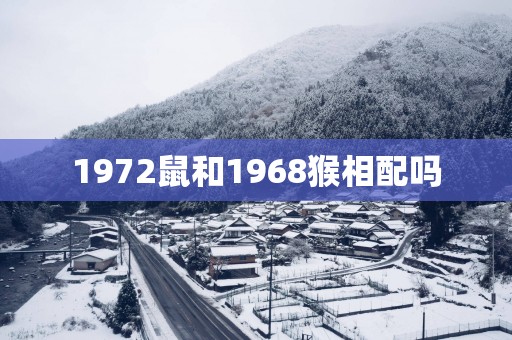 1972鼠和1968猴相配吗