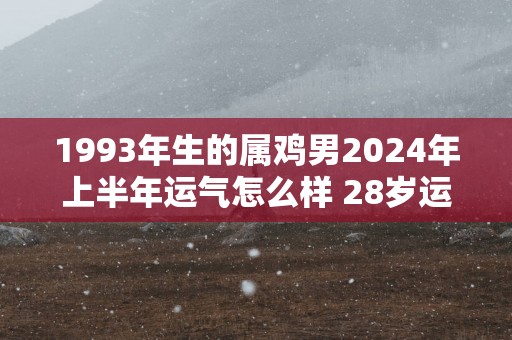 1993年生的属鸡男2024年上半年运气怎么样 28岁运程