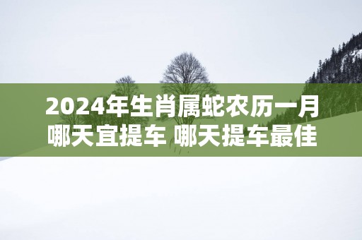 2025年生肖属蛇农历一月哪天宜提车 哪天提车最佳