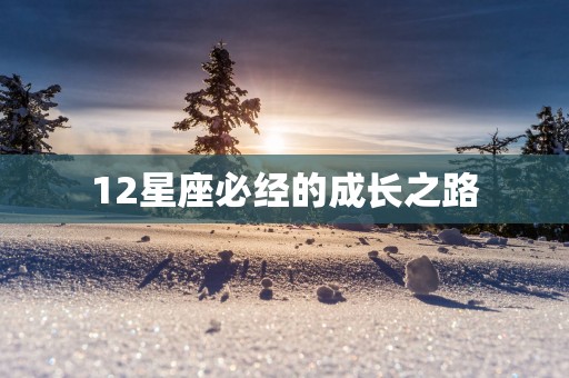 12星座必经的成长之路