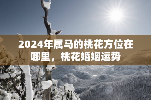 2025年属马的桃花方位在哪里，桃花婚姻运势