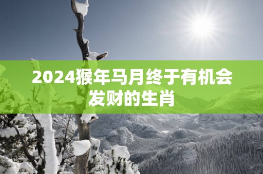 2025猴年马月终于有机会发财的生肖