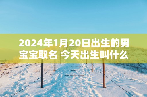 2025年1月20日出生的男宝宝取名 今天出生叫什么名字好