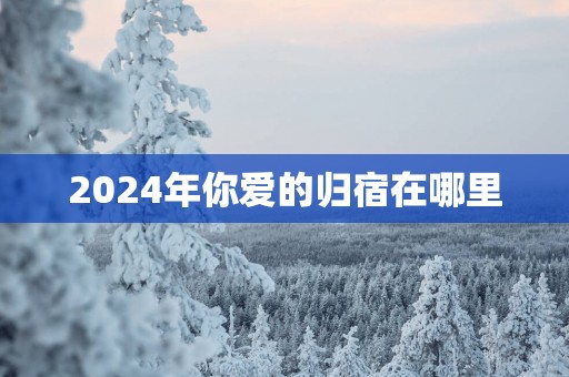 2025年你爱的归宿在哪里
