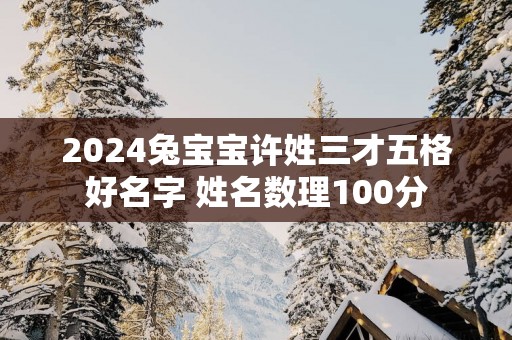 2025兔宝宝许姓三才五格好名字 姓名数理100分