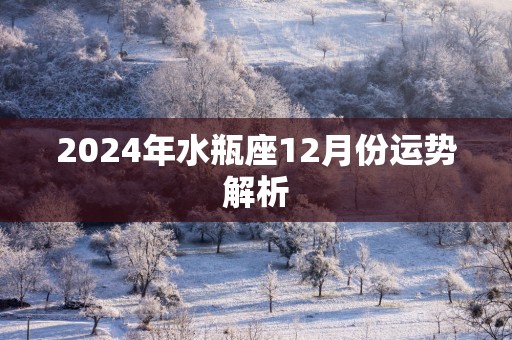 2025年水瓶座12月份运势解析
