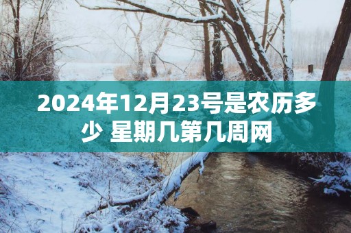 2025年12月23号是农历多少 星期几第几周网