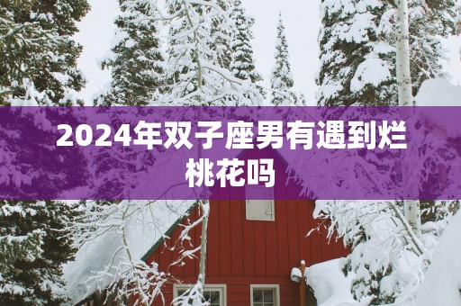 2025年双子座男有遇到烂桃花吗