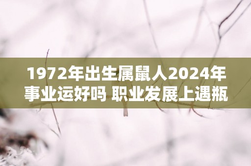 1972年出生属鼠人2024年事业运好吗 职业发展上遇瓶颈