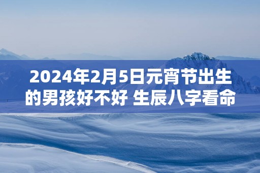 2025年2月5日元宵节出生的男孩好不好 生辰八字看命
