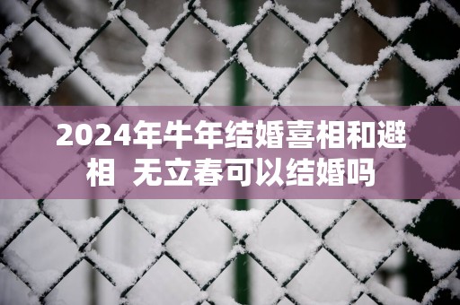 2025年蛇年结婚喜相和避相  无立春可以结婚吗
