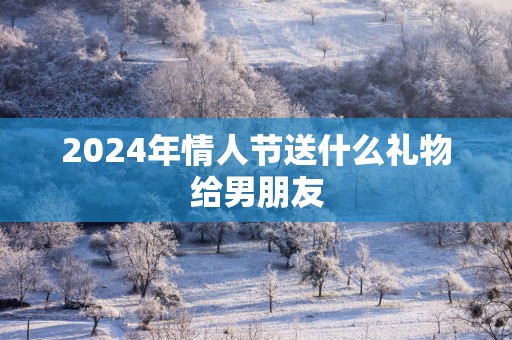 2025年情人节送什么礼物给男朋友