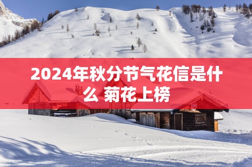 2025年秋分节气花信是什么 菊花上榜