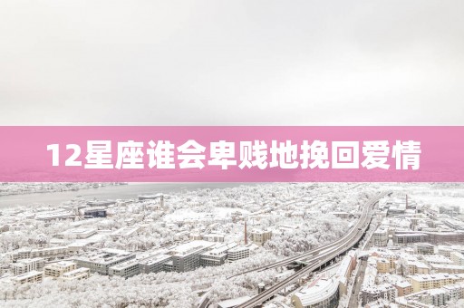 12星座谁会卑贱地挽回爱情